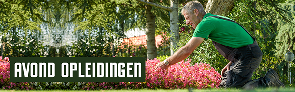 Avondopleidingen