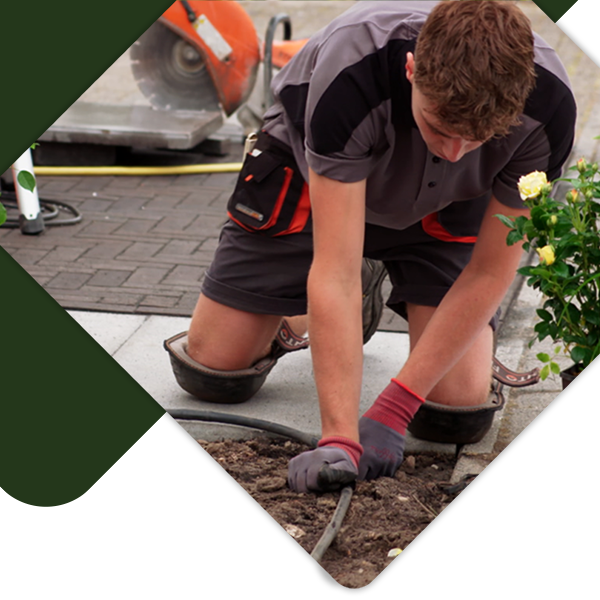 Vind nu een groen opleiding in de buurt van Columbus