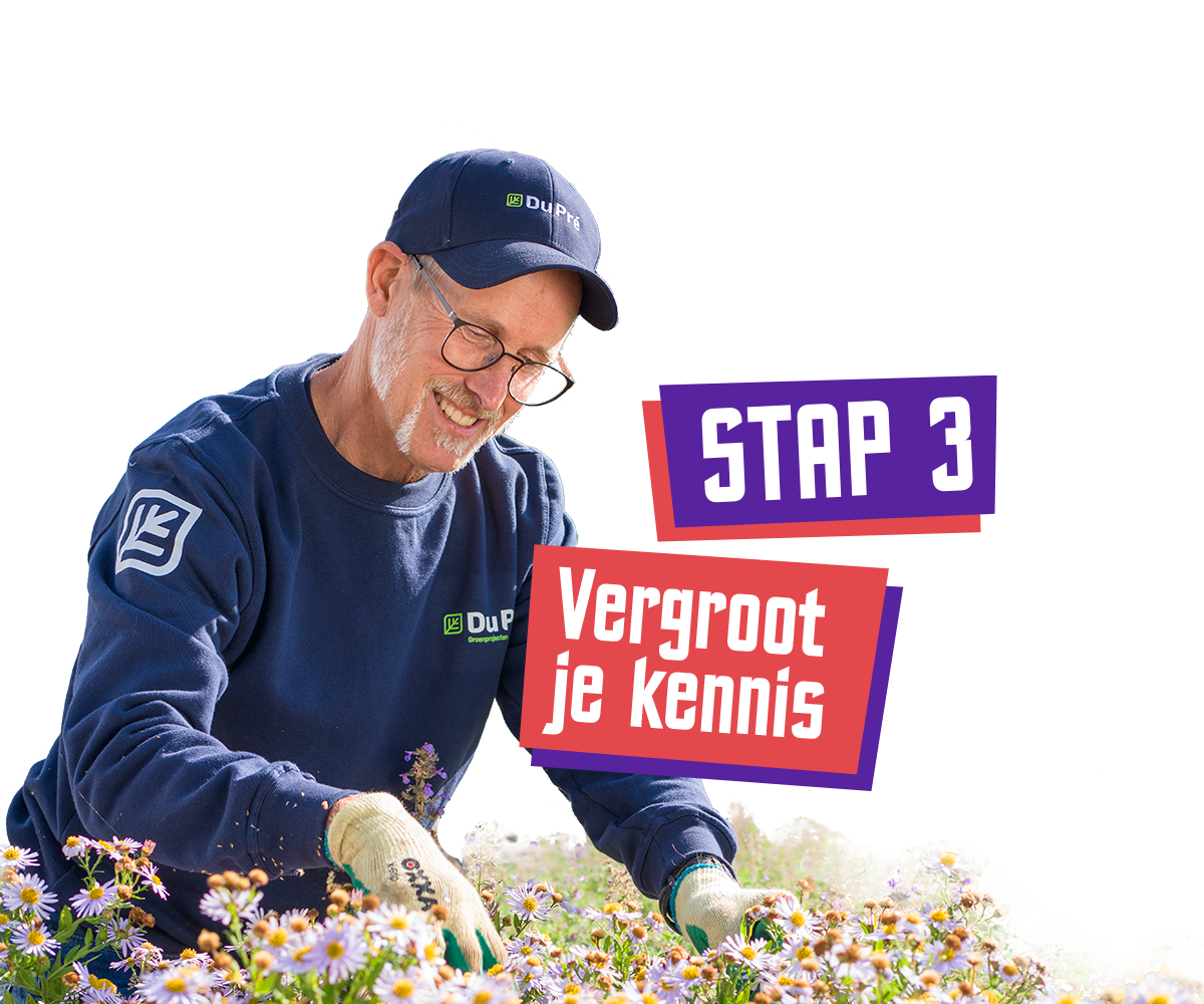 Stap 3 - Vergroot je kennis